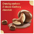 Cadbury Nutties Chocolate